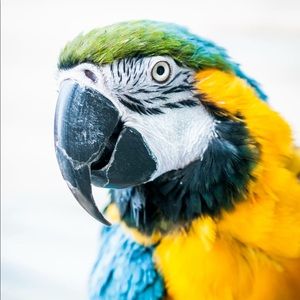 Meet your Posher, Jamie